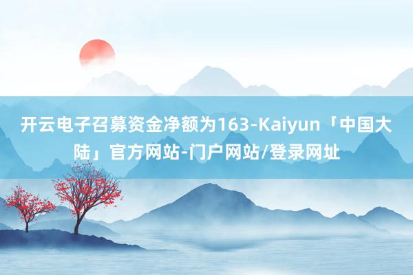 开云电子召募资金净额为163-Kaiyun「中国大陆」官方网站-门户网站/登录网址
